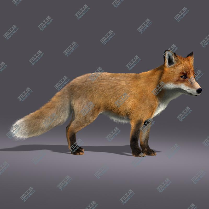 images/goods_img/2021040234/Fox (RIGGED) (FUR)/2.jpg